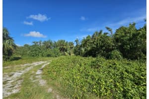 1980 Conkling Avenue SW, Palm Bay, FL 32908 - MLS#R11027615