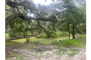 MLS# R11028006, Lakeland, Florida 33803