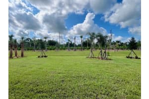 3908 White Alder Way Stellar, Vero Beach, FL 32967 Sold 03/06/25