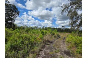 40191 NW 24th Drive, Okeechobee, FL 34972 - MLS#R11031127