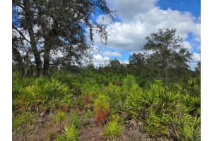 40191 NW 24th Drive, Okeechobee, FL 34972 - MLS#R11031127