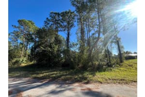 225 Nashville Avenue S, Lehigh Acres, FL 33974 Sold 02/26/25