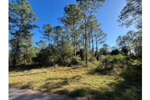 225 Nashville Avenue S, Lehigh Acres, FL 33974 Sold 02/26/25