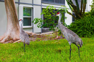 8163 Se Croft Circle 2, Hobe Sound, FL 33455 Sold 03/20/25