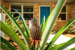2326 SE Saphire Terrace, Port Saint Lucie, FL 34952 Sold 12/02/24