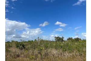 22229 NW 242nd Street, Okeechobee, FL 34972 Sold 01/31/25