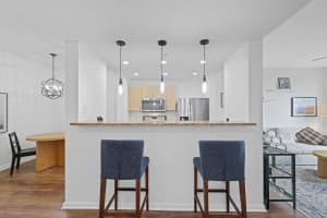 533 NE 3rd Avenue 440, Fort Lauderdale, FL 33301 Sold 01/17/25