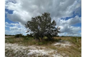 22333 NW 242nd Street, Okeechobee, FL 34972 Sold 01/31/25