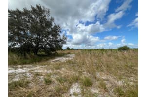 22333 NW 242nd Street, Okeechobee, FL 34972 Sold 01/31/25