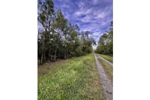 6366 Alder Avenue, Bunnell, FL 32110 Sold 12/30/24