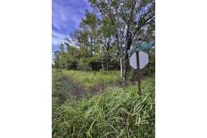 6366 Alder Avenue, Bunnell, FL 32110 Sold 12/30/24