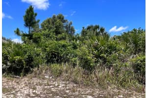 27137 Corinthian Drive, Punta Gorda, FL 33955 Sold 04/29/25