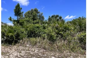 27143 Corinthian Drive, Punta Gorda, FL 33955 Sold 04/29/25