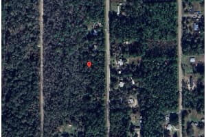 1854 Guava Lane, Bunnell, FL 32110 Sold 12/13/24