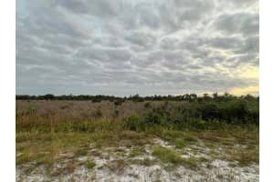 16222 NW 298th Street, Okeechobee, FL 34972 Sold 12/23/24