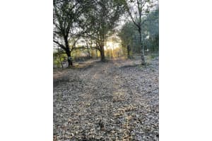 19317 NW 268th Street, Okeechobee, FL 34972 Sold 09/04/25