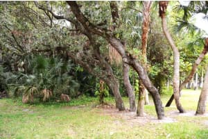 441 Ashwood Place, Boca Raton, FL 33431 Sold 04/22/25