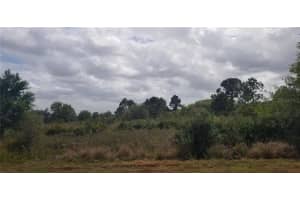 21815 NW 276th Street, Okeechobee, FL 34972 Sold 12/31/24