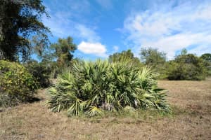 MLS# R11041860, Okeechobee, Florida 34972