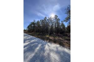0 Sanders Avenue, Weeki Wachee, FL 34614 Sold 01/16/25