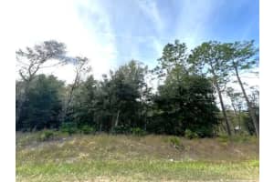 Tbd SW 125th Court Road, Dunnellon, FL 34432 Sold 01/10/25