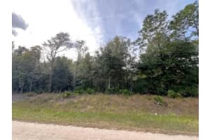 Tbd SW 125th Court Road, Dunnellon, FL 34432 Sold 01/10/25