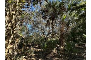 14622 NW 314th Street, Okeechobee, FL 34972 Sold 03/31/25