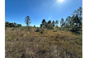 14822 NW 290th Street, Okeechobee, FL 34972 Sold 01/31/25