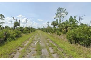 0 Concinna Street, North Port, FL 34288 Sold 03/03/25