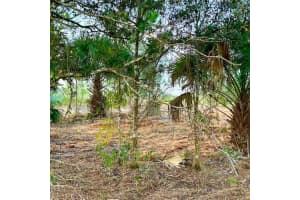 16111 NW 310th Street, Okeechobee, FL 34972 Sold 08/14/25