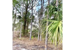 16111 NW 310th Street, Okeechobee, FL 34972 Sold 08/14/25