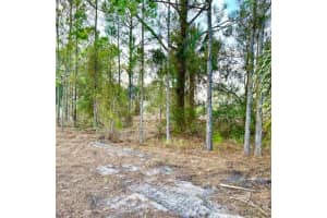 16111 NW 310th Street, Okeechobee, FL 34972 Sold 08/14/25