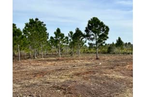 19189 NW 246th Street, Okeechobee, FL 34972 Sold 01/21/25