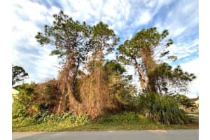 874 Crawford Avenue SE, Palm Bay, FL 32909 Sold 01/27/25