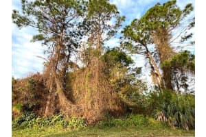 874 Crawford Avenue SE, Palm Bay, FL 32909 Sold 01/27/25