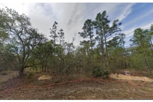 13 Pagoda Drive, Homosassa, FL 34446 Sold 02/11/25