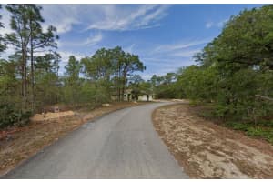 13 Pagoda Drive, Homosassa, FL 34446 Sold 02/11/25