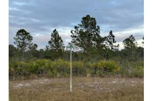 424 Orleander Drive, Indian Lake Estates, FL 33855 - MLS#R11047063