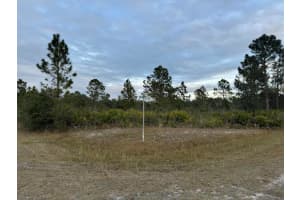 424 Orleander Drive, Indian Lake Estates, FL 33855 - MLS#R11047063