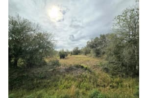 17376 NW 256th Street, Okeechobee, FL 34972 Sold 01/10/25