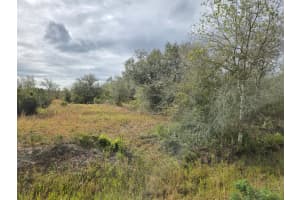 17376 NW 256th Street, Okeechobee, FL 34972 Sold 01/10/25