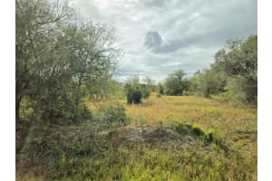 17376 NW 256th Street, Okeechobee, FL 34972 Sold 01/10/25