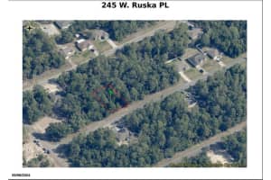 245 W Ruska Place, Citrus Springs, FL 34434 Sold 11/14/25