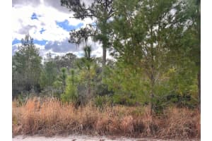 227 Brant Avenue, Sebring, FL 33870 Sold 04/01/25