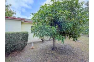 447 36th Street, West Palm Beach, FL 33407 Sold 04/18/25