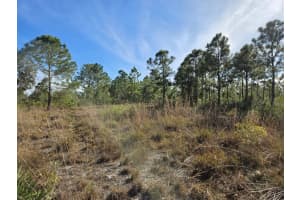 16642 NW 318th Street, Okeechobee, FL 34972 Sold 03/31/25