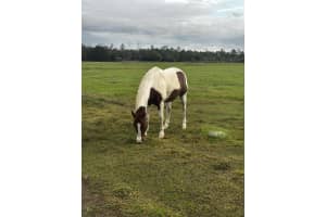 32801 Us Highway 441n Lot 167, Okeechobee, FL 34972 - MLS#R11050197
