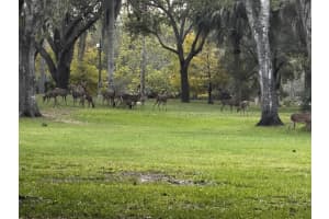 32801 Us Highway 441n Lot 167, Okeechobee, FL 34972 - MLS#R11050197