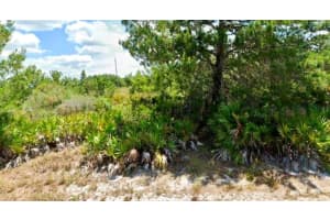 3346 Gerber Ave Avenue, Lake Placid, FL 33852 Sold 07/01/25