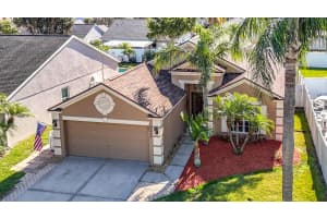 4217 Pine Isle Drive, Lutz, FL 33558 Sold 03/03/25